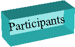Participants