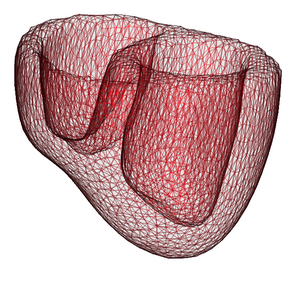 Fibre atlas