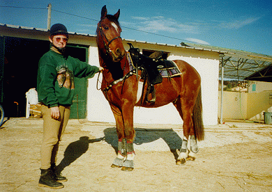 http://www-sop.inria.fr/croap/personnel/Marjorie.Russo/Images_Chevaux/gitan7.gif