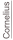 shapeimage_2_link_0