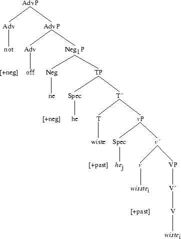 Tree 105