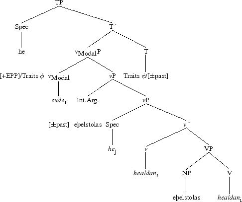 Tree 43