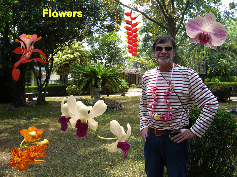 srilanka-flowers