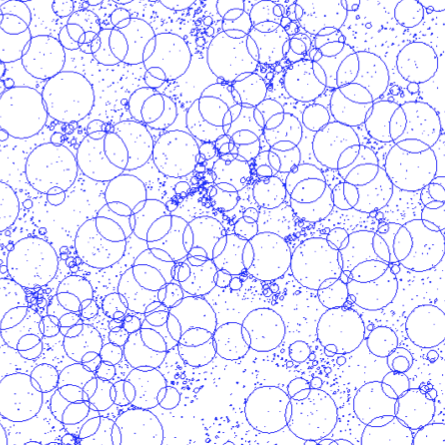 IBM for forest dynamics