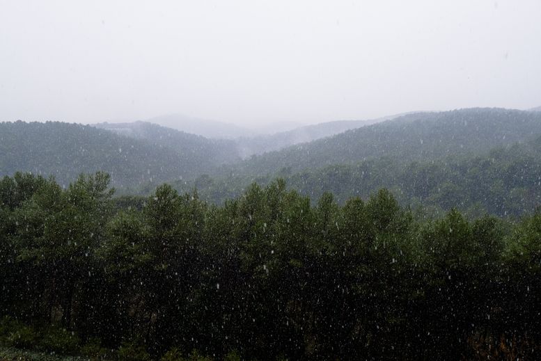 SnowySophia