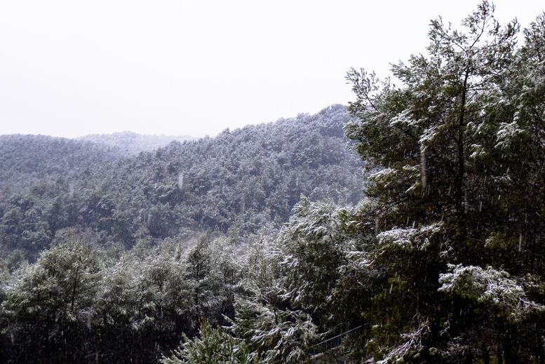 SnowySophia