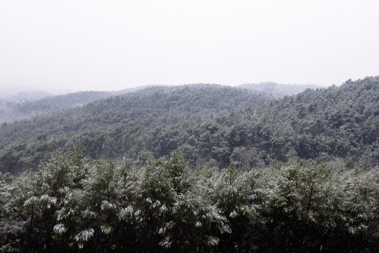 SnowySophia