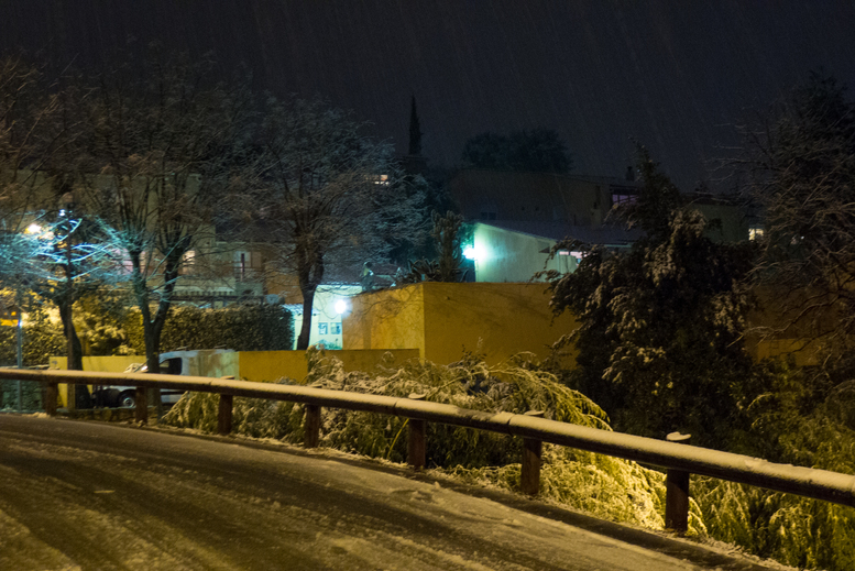 SnowySophia