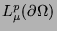 $L^p_\mu(\partial \Omega)$