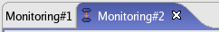The monitoring views