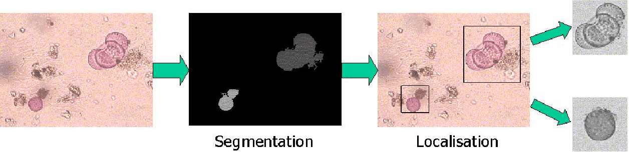 \begin{figure}\centering
\includegraphics{extraction_pollen.eps}\end{figure}