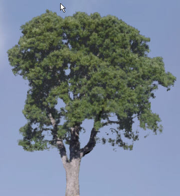 tree1
