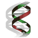 Structure en double hélice de l'ADN