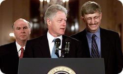 Venter, Clinton, Collins