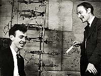 Watson et Crick (et la double hélice)