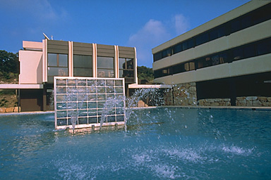 the pool
