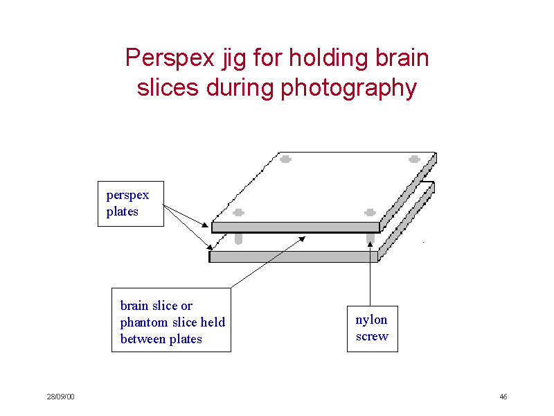 Perspex jig for holding brain slices during photography