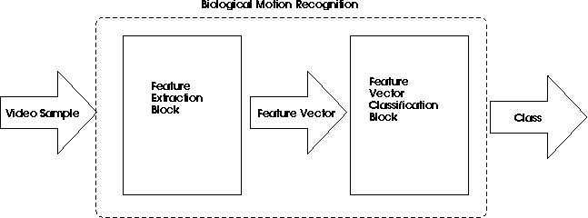 Motion Recognition Figure