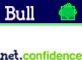 Visit the Bull Web site