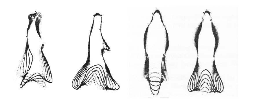 \includegraphics[width=12cm]{images/img_hogg_model.eps}