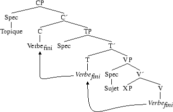 Tree 11