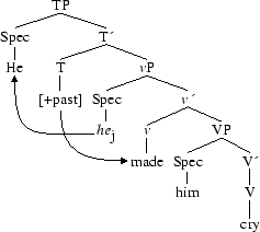 Tree 14