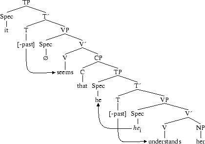 Tree 15