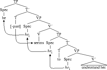 Tree 16