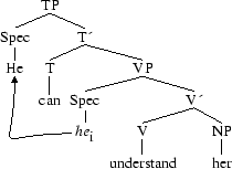 Tree 17