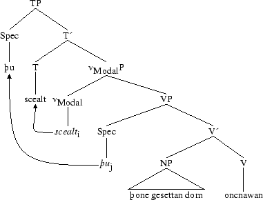 Tree 25