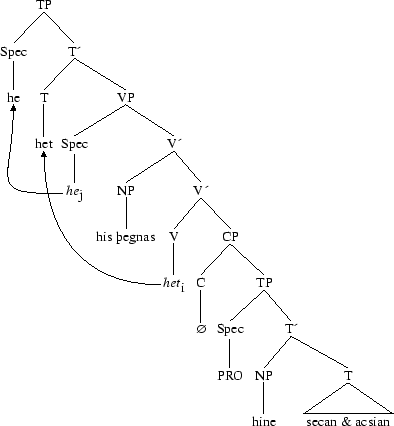 Tree 28