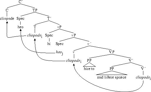 Tree 29