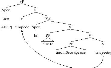 Tree 30