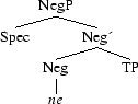 Tree 44