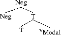 Tree 46