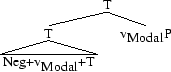 Tree 48