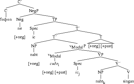 Tree 49