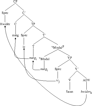 Tree 57