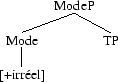 Tree 62