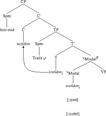 Tree 67