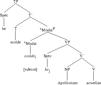 Tree 72