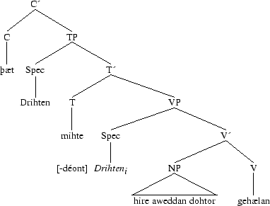 Tree 78