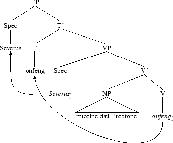 Tree 8