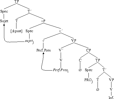 Tree 81
