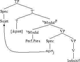 Tree 82