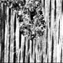 \includegraphics[scale=1]{textordue.PS}